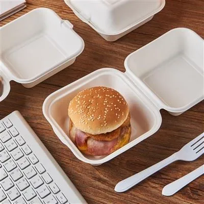 Bagasse Hamurger Box
